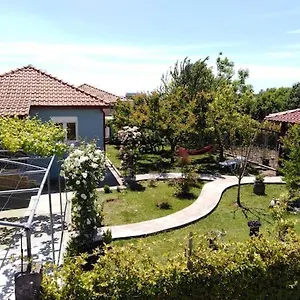 https://villa-viktoria-halkidiki.hotelschalkidiki.net